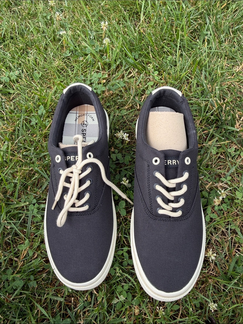 Sperry Men’s Black Canvas Low-Top Sneakers